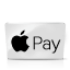 Apple Pay Icon