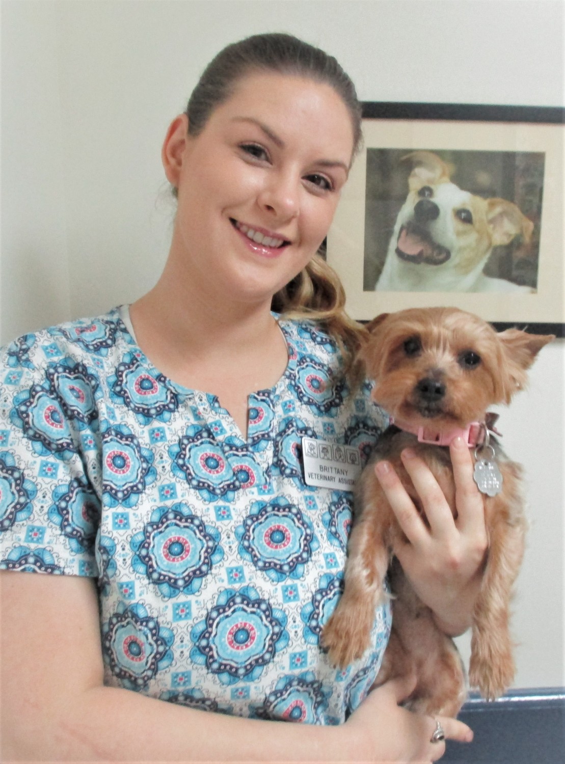 Meet Brittany - Veterinary Assistant