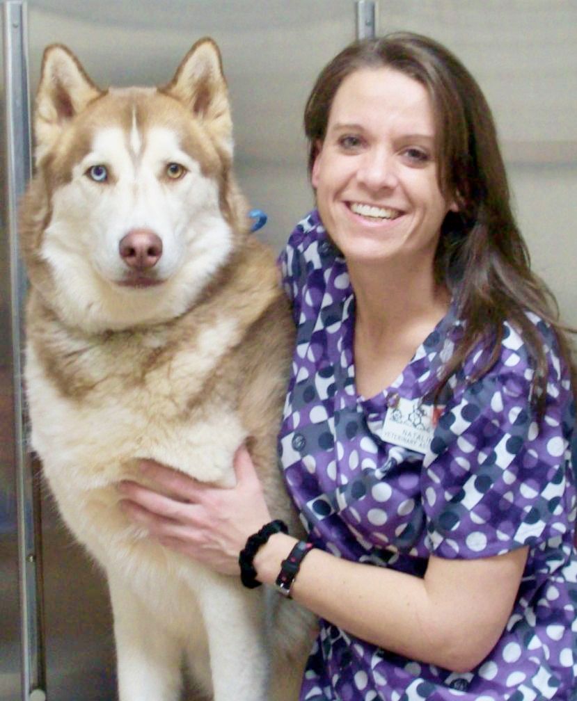 Meet Natalie - Veterinary Assistant  